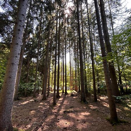 Apartman Na Kraji Lesa Všemina Exterior foto
