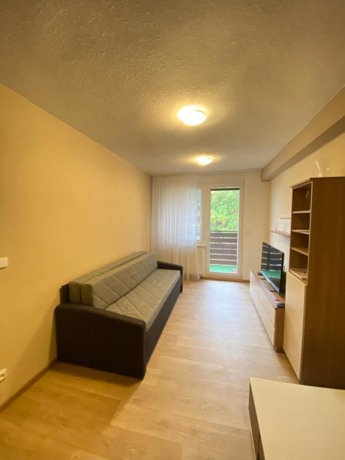 Apartman Na Kraji Lesa Všemina Exterior foto