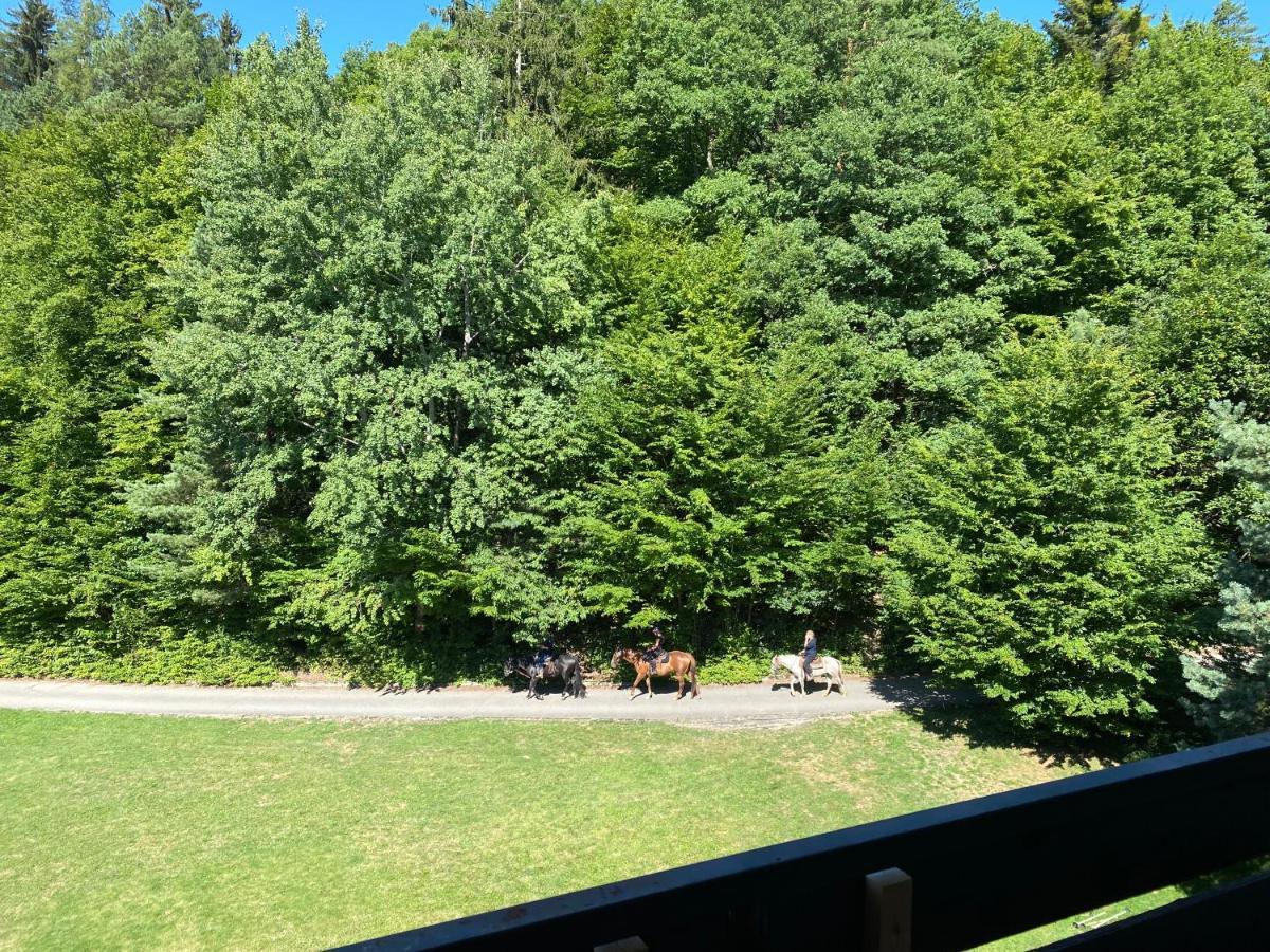 Apartman Na Kraji Lesa Všemina Exterior foto